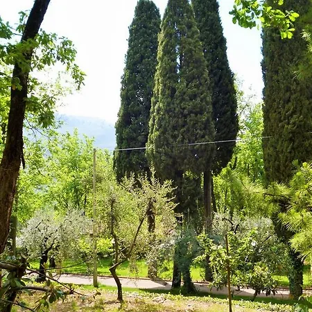Tiglio Vila *